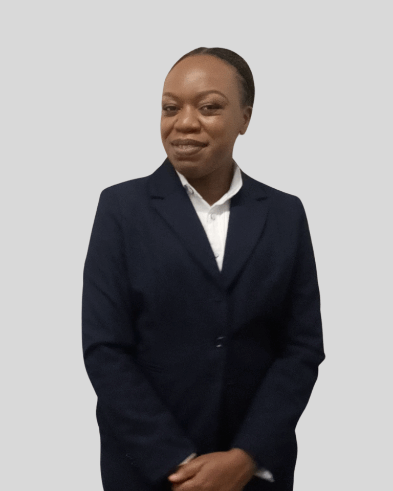 litigation lawyer